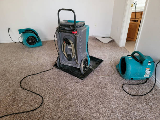 Best Commercial water damage restoration  in Warrensburg, IL