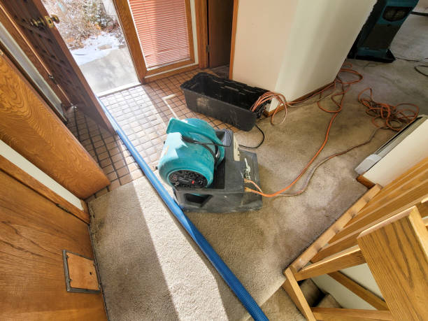 Best Professional water damage repair  in Warrensburg, IL