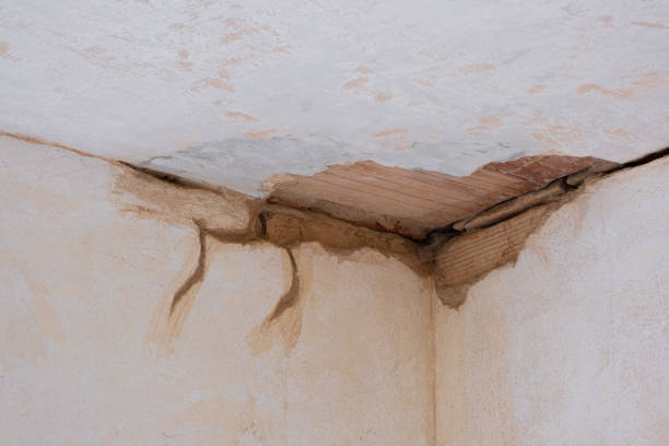 Best 24-hour water damage restoration  in Warrensburg, IL