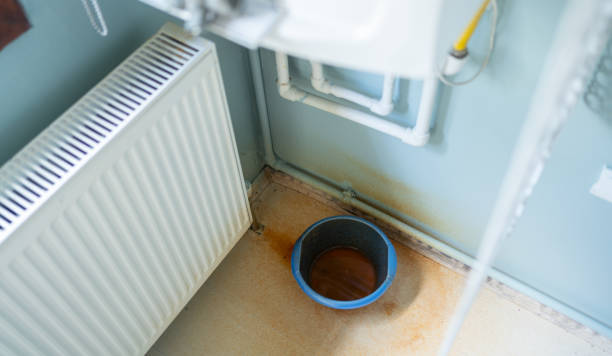 Best Carpet water damage restoration  in Warrensburg, IL