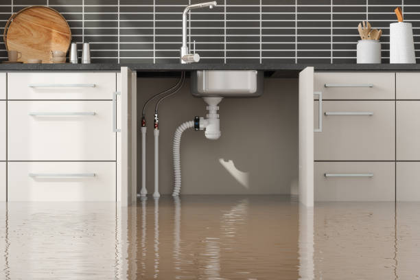 Best Local water damage restoration  in Warrensburg, IL