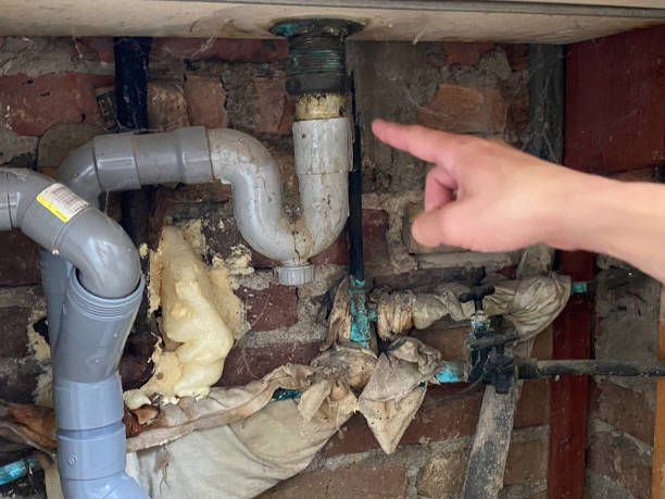Reliable IL Water damage restoration Solutions