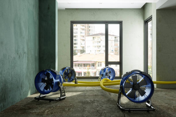 Best Residential water damage restoration  in Warrensburg, IL